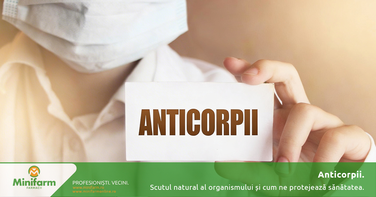 Anticorpii: scutul natural al organismului și cum ne protejează sănătatea