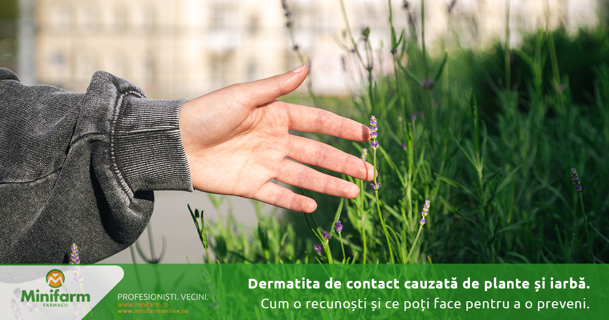Dermatita de contact cauzată de plante și iarbă: cum o recunoști și ce poți face pentru a o preveni