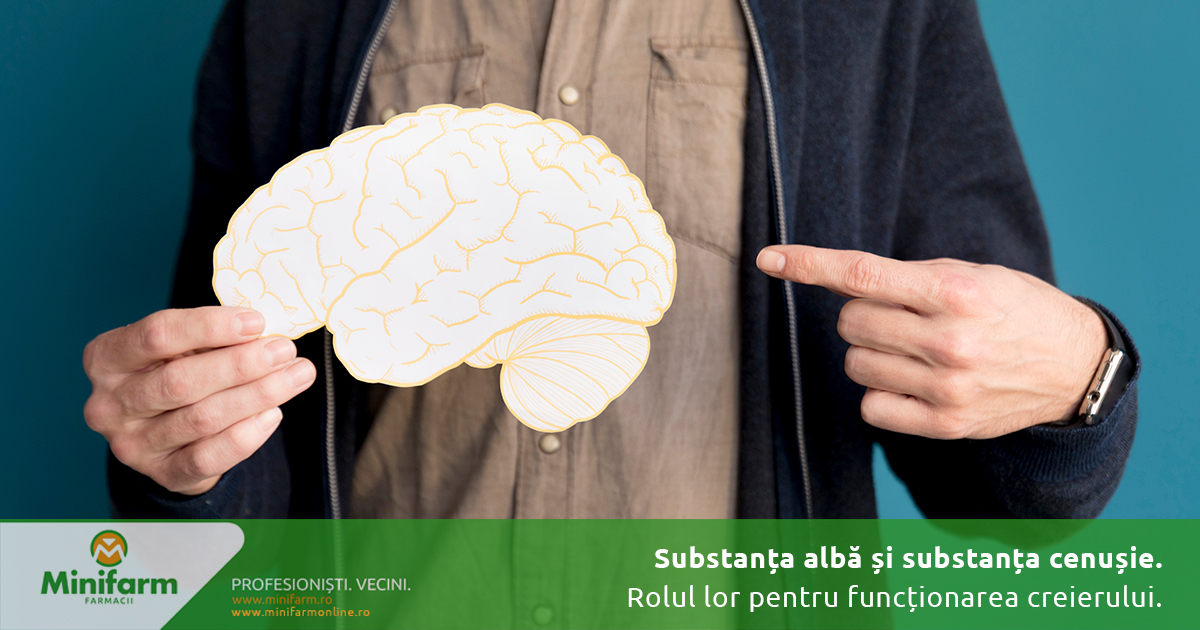Substanța albă și substanța cenușie: rol, diferențe și afecțiuni
